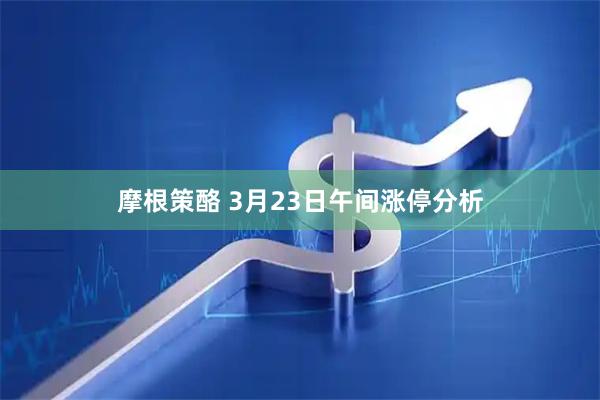 摩根策酪 3月23日午间涨停分析