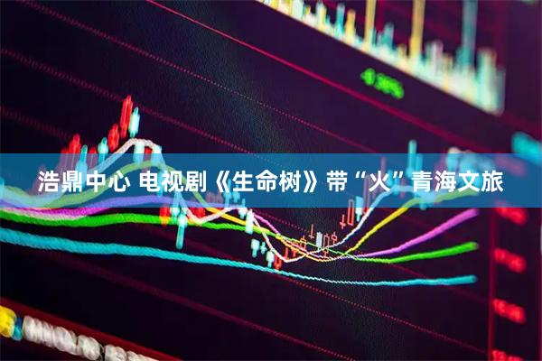 浩鼎中心 电视剧《生命树》带“火”青海文旅