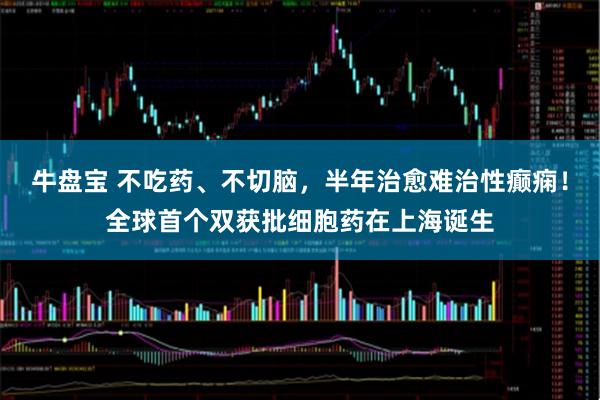 牛盘宝 不吃药、不切脑，半年治愈难治性癫痫！全球首个双获批细胞药在上海诞生