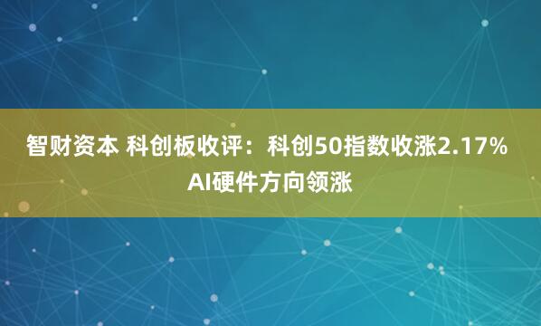 智财资本 科创板收评：科创50指数收涨2.17% AI硬件方向领涨