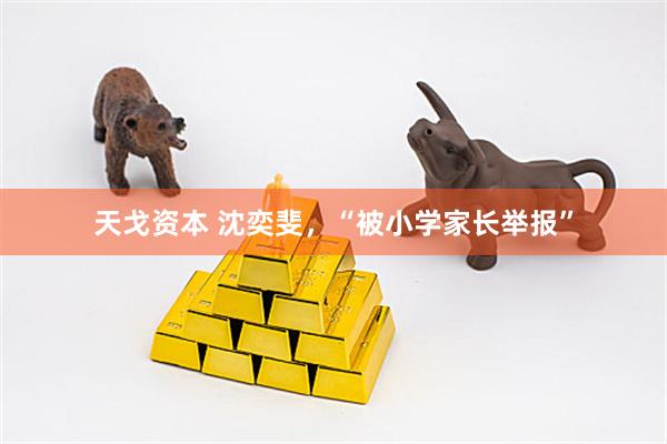 天戈资本 沈奕斐，“被小学家长举报”