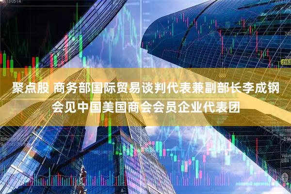 聚点股 商务部国际贸易谈判代表兼副部长李成钢会见中国美国商会会员企业代表团