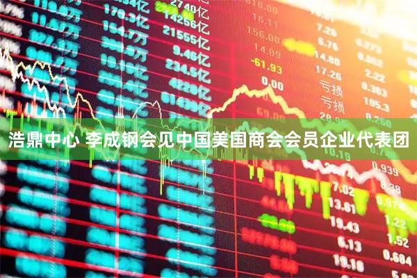 浩鼎中心 李成钢会见中国美国商会会员企业代表团
