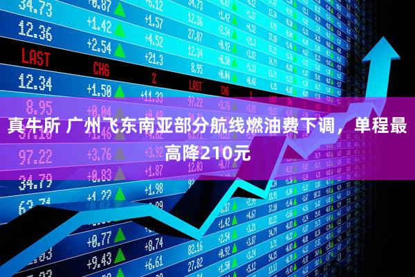 真牛所 广州飞东南亚部分航线燃油费下调，单程最高降210元