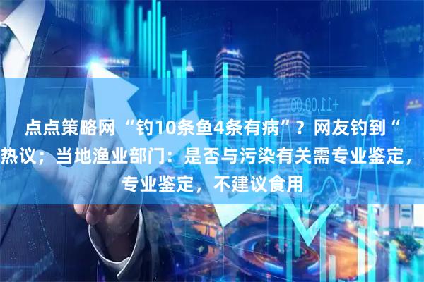 点点策略网 “钓10条鱼4条有病”？网友钓到“肿块鱼”引热议；当地渔业部门：是否与污染有关需专业鉴定，不建议食用