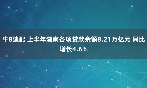 牛8速配 上半年湖南各项贷款余额8.21万亿元 同比增长4.6%