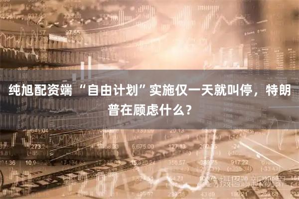 纯旭配资端 “自由计划”实施仅一天就叫停，特朗普在顾虑什么？
