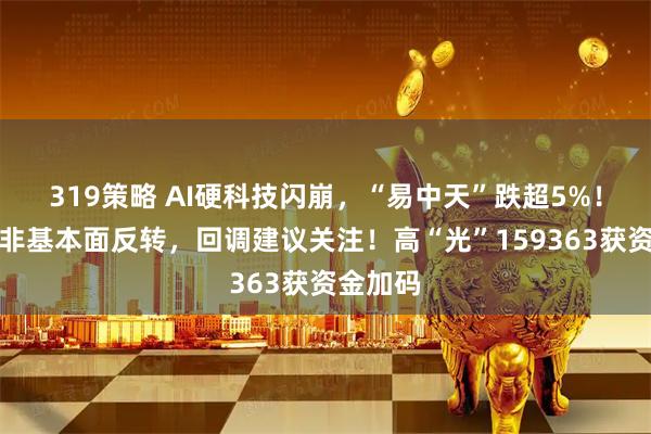 319策略 AI硬科技闪崩，“易中天”跌超5%！机构：非基本面反转，回调建议关注！高“光”159363获资金加码